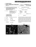 Compositions for Preventing Plant Disease Comprising Bacillus Subtilis Kccm 10639 or Kccm 10640 and Methods of Preventing Plant Disease by Using Them diagram and image