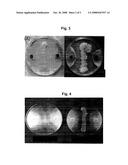 Compositions for Preventing Plant Disease Comprising Bacillus Subtilis Kccm 10639 or Kccm 10640 and Methods of Preventing Plant Disease by Using Them diagram and image