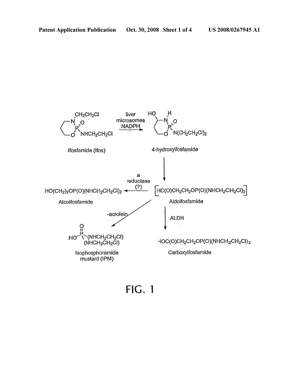 Salts of Isophosphoramide Mustard and Analogs Thereof as Anti-Tumor Agents - diagram, schematic, and image 02