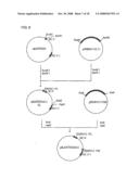 Anti-perp recombinant antibody diagram and image