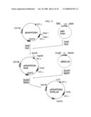 Anti-perp recombinant antibody diagram and image