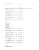 Anti-perp recombinant antibody diagram and image