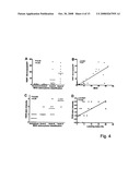 FRIZZLED 9 AS TUMOR MARKER diagram and image