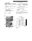 Anti-angiogenic targets for cancer therapy diagram and image