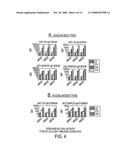 Combinations of gene deletions for live attenuated shigella vaccine strains diagram and image