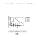 Combinations of gene deletions for live attenuated shigella vaccine strains diagram and image