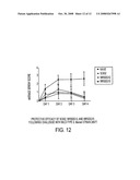 Combinations of gene deletions for live attenuated shigella vaccine strains diagram and image