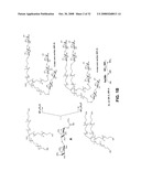 Polyethylene Oxide Polymers Including Anti-Inflammatory Glycodendrons diagram and image