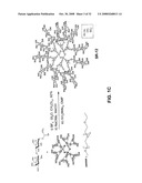 Polyethylene Oxide Polymers Including Anti-Inflammatory Glycodendrons diagram and image