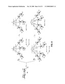 Polyethylene Oxide Polymers Including Anti-Inflammatory Glycodendrons diagram and image