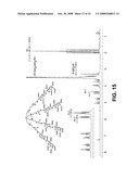 Polyethylene Oxide Polymers Including Anti-Inflammatory Glycodendrons diagram and image