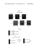 METHOD OF PREPARING LOW RESISTANCE METAL LINE, PATTERNED METAL LINE STRUCTURE, AND DISPLAY DEVICE USING THE SAME diagram and image