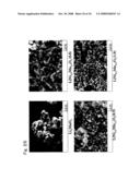 ACTIVE MATERIAL FOR NON-AQUEOUS ELECTROLYTE SECONDARY BATTERY AND MANUFACTURING METHOD THEREFORE diagram and image