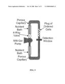 Systems and Methods for Analyzing a Particulate diagram and image