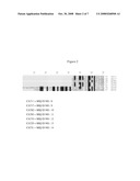 Novel Sesquiterpene Synthases and Methods of their Use diagram and image