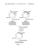 Method for creating polynucleotide and polypeptide sequences diagram and image