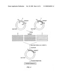 Method for creating polynucleotide and polypeptide sequences diagram and image