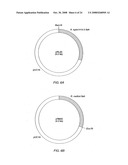 Method for creating polynucleotide and polypeptide sequences diagram and image