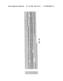 Method for creating polynucleotide and polypeptide sequences diagram and image