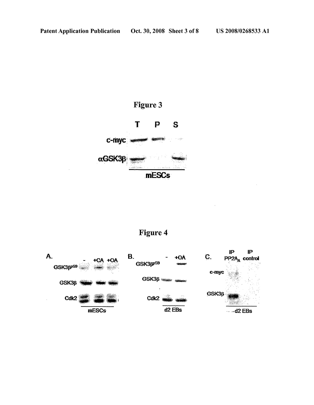 Methods and Compositions Utilizing Myc and Gsk3Beta to Manipulate the Pluripotency of Embryonic Stem Cells - diagram, schematic, and image 04