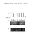 COMPOSITIONS AND METHODS USEFUL FOR CULTURING DIFFERENTIABLE CELLS diagram and image