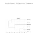 COMPOSITIONS AND METHODS USEFUL FOR CULTURING DIFFERENTIABLE CELLS diagram and image