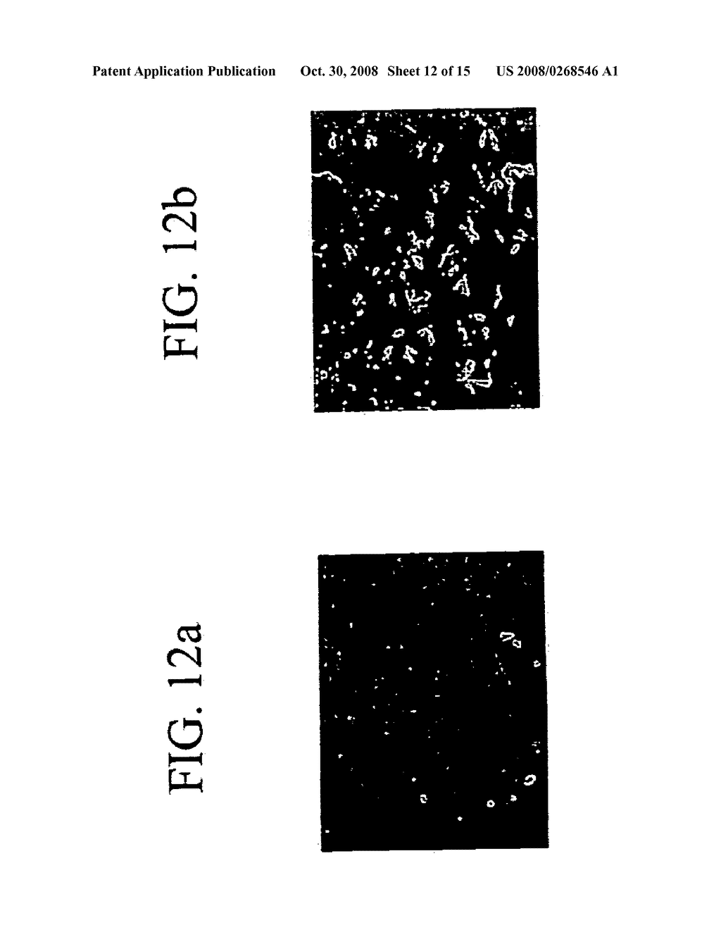 DETECTION OF DNA HYBRIDIZATION ON SURFACES - diagram, schematic, and image 13