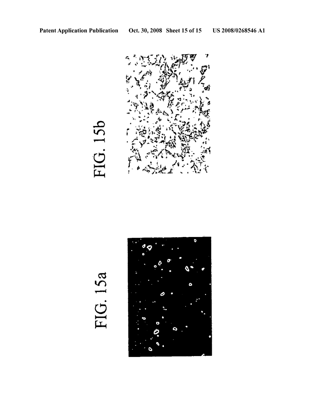 DETECTION OF DNA HYBRIDIZATION ON SURFACES - diagram, schematic, and image 16