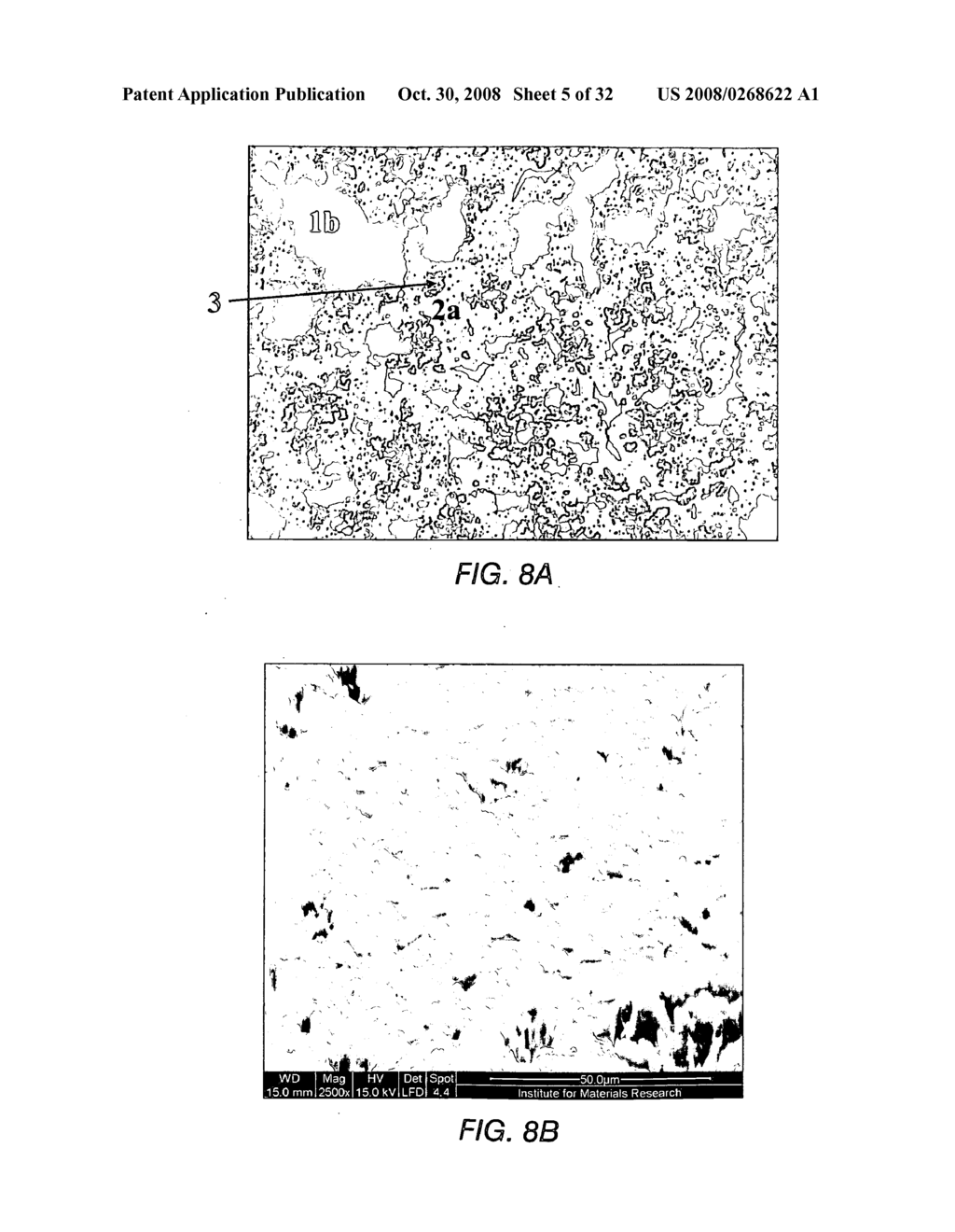 METHOD FOR MANUFACTURING A CRYSTALLINE SILICON LAYER - diagram, schematic, and image 06