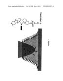 DIRECT WRITE NANOLITHOGRAPHIC DEPOSITION OF NUCLEIC ACIDS FROM NANOSCOPIC TIPS diagram and image