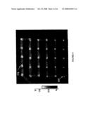 DIRECT WRITE NANOLITHOGRAPHIC DEPOSITION OF NUCLEIC ACIDS FROM NANOSCOPIC TIPS diagram and image