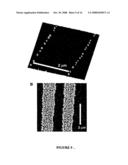 DIRECT WRITE NANOLITHOGRAPHIC DEPOSITION OF NUCLEIC ACIDS FROM NANOSCOPIC TIPS diagram and image