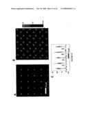 DIRECT WRITE NANOLITHOGRAPHIC DEPOSITION OF NUCLEIC ACIDS FROM NANOSCOPIC TIPS diagram and image