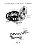 Y4 Selective Receptor Agonists For Thereapeutic Interventions diagram and image