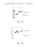 ADP-ribosyl transferase fusion variant proteins diagram and image