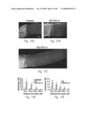 ADP-ribosyl transferase fusion variant proteins diagram and image