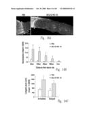 ADP-ribosyl transferase fusion variant proteins diagram and image