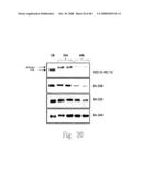 ADP-ribosyl transferase fusion variant proteins diagram and image