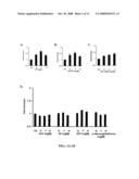 Methods and Compositions Involving A1c Subunit of L-Type Calcium Channels in Smooth Muscle Cells diagram and image