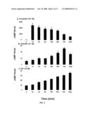 Methods and Compositions Involving A1c Subunit of L-Type Calcium Channels in Smooth Muscle Cells diagram and image