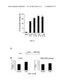 Methods and Compositions Involving A1c Subunit of L-Type Calcium Channels in Smooth Muscle Cells diagram and image