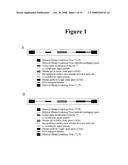 Antimicrobial Peptide Biocides diagram and image