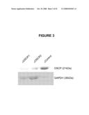 COMPOSITIONS AND METHODS RELATING TO NOVEL COMPOUNDS AND TARGETS THEREOF diagram and image