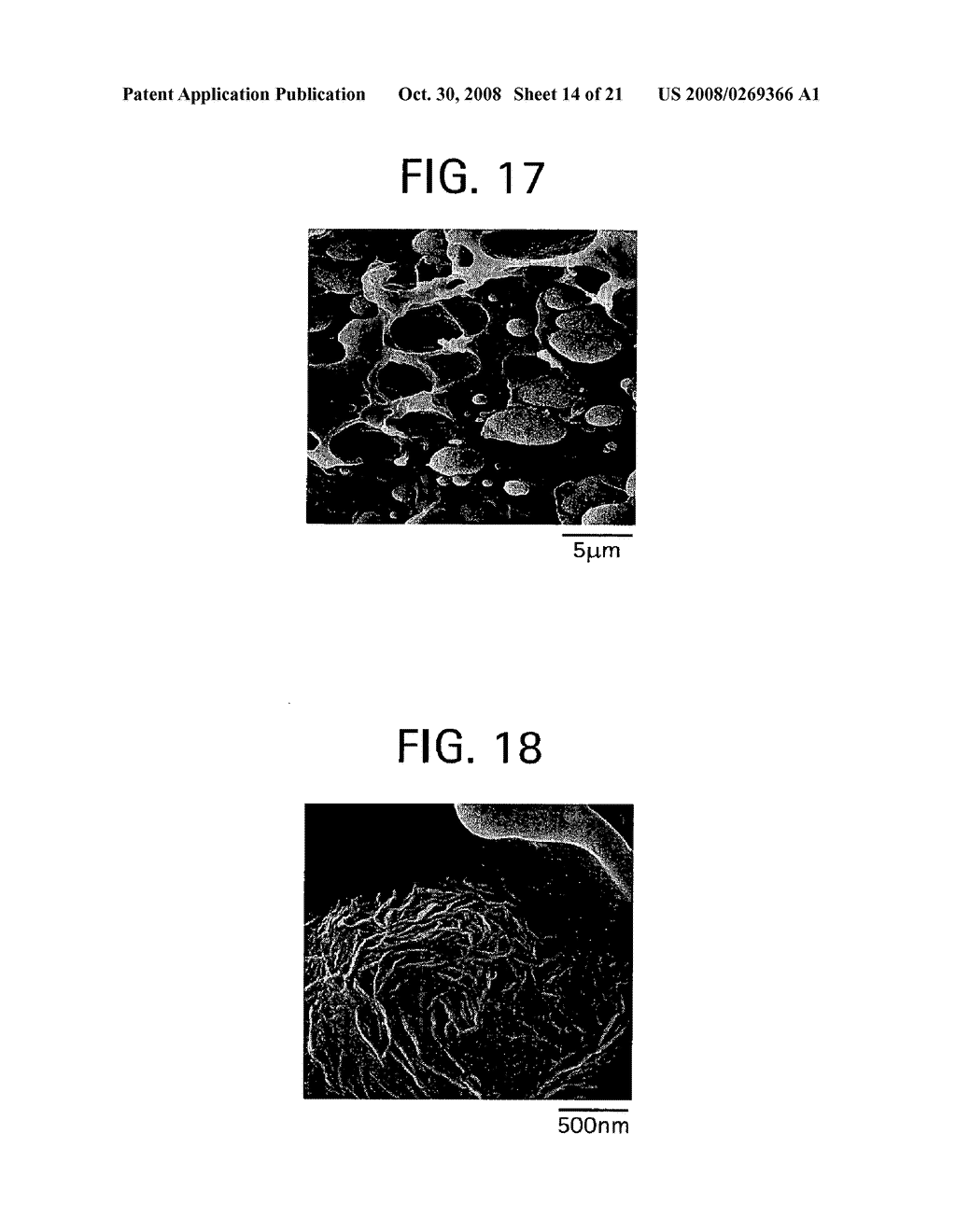 MICROPOROUS FILMS FROM COMPATIBILIZED POLYMERIC BLENDS - diagram, schematic, and image 15