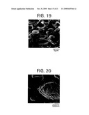 MICROPOROUS FILMS FROM COMPATIBILIZED POLYMERIC BLENDS diagram and image