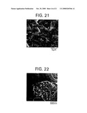 MICROPOROUS FILMS FROM COMPATIBILIZED POLYMERIC BLENDS diagram and image