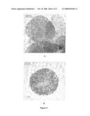 Porous Inorganic/Organic Hybrid Materials With Ordered Domains for Chromatographic Separations and Processes for Their Preparation diagram and image