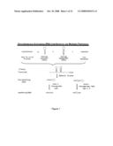 Novel shRNA molecules and methods of use thereof diagram and image