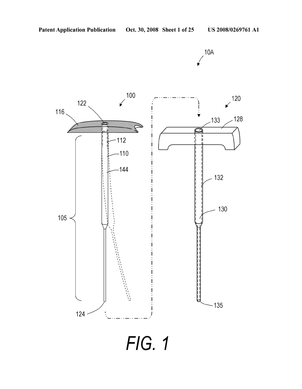 BONE TREATMENT SYSTEMS AND METHODS - diagram, schematic, and image 02