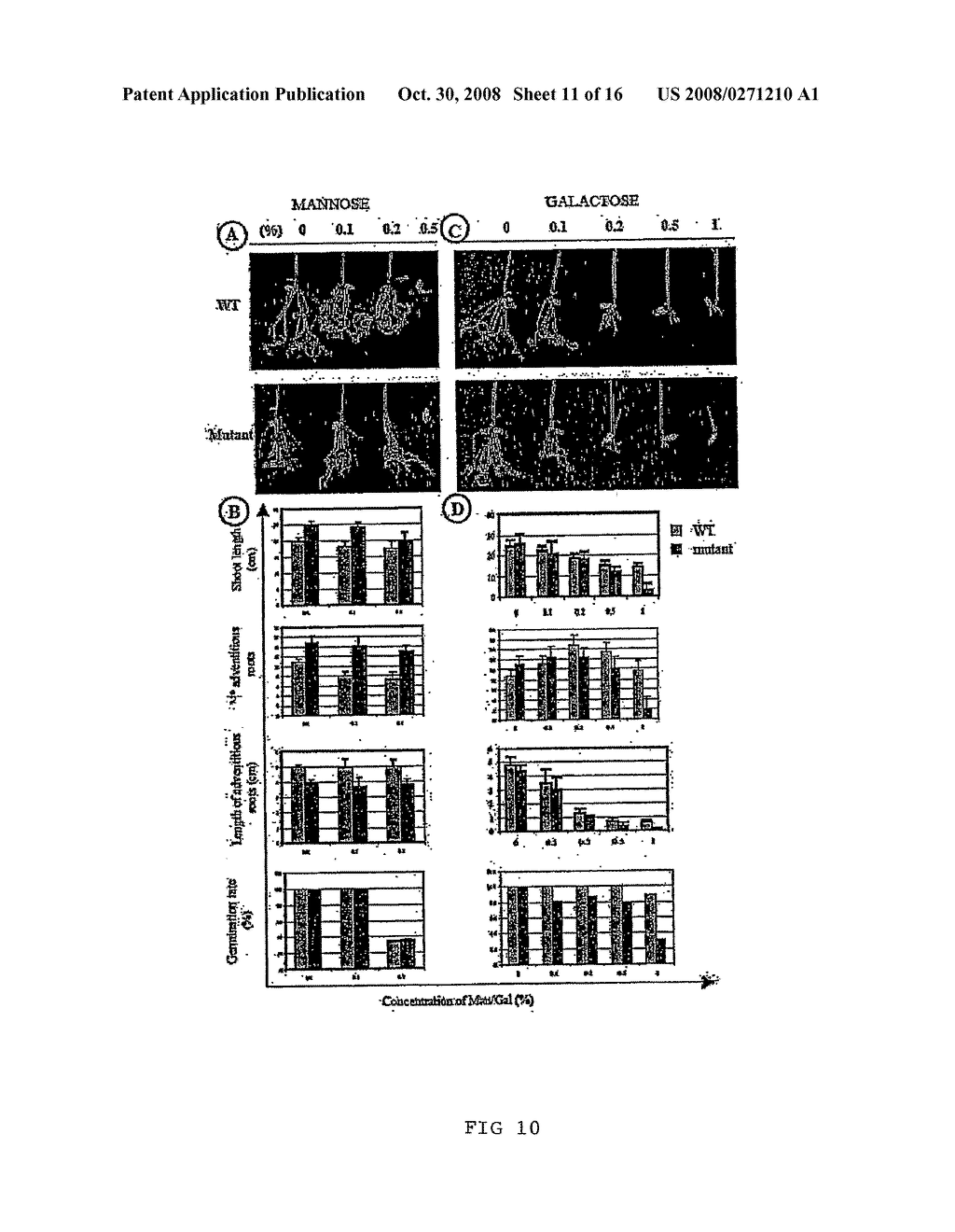 Oryza Sativa Lectin-Like Receptor Kinase 1 (Oslrk1), a Gene Involved in Plant Development - diagram, schematic, and image 12